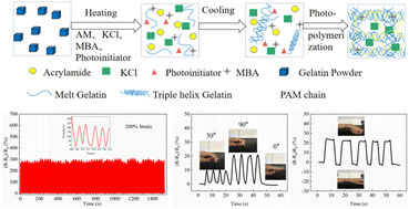 Graphical abstract: Conducting gelatin/PAM DN hydrogels with high mechanical properties prepared using the photoinduced one-pot method for strain sensors