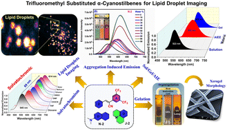Graphical abstract: AIE active cyanostilbenes for live-cell imaging of lipid droplets
