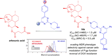 Graphical abstract: Novel artesunate–pyrimidine-based hybrids with anticancer potential against multidrug-resistant cancer cells