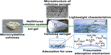 Graphical abstract: An ultralight aerogel-type urea absorbent for the development of a wearable artificial kidney