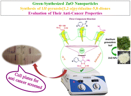 Graphical abstract: Catalytic application of green-synthesized ZnO nanoparticles in the synthesis of 1H-pyrazolo[1,2-a]pyridazine-5,8-diones and evaluation of their anti-cancer properties