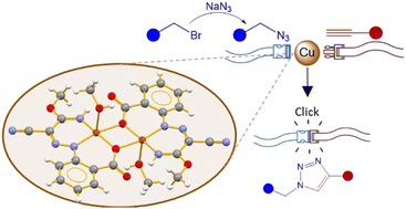 Graphical abstract: Novel cyano-activated Cu(ii) complexes of arylhydrazones of active methylene nitriles and their catalytic application for azide–alkyne cycloaddition in water and glycerol