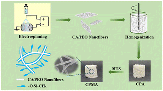 Graphical abstract: Ultralight, super-compression, and hydrophobic nanofibrous aerogels from cellulose acetate/polyethylene oxide nanofibers for efficient and recyclable oil absorption
