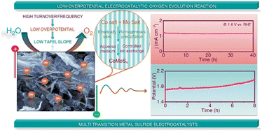 Graphical abstract: Hierarchical CoMoS4 flakes with rich physico-electrochemical physiognomies for electrocatalytic oxygen evolution reaction