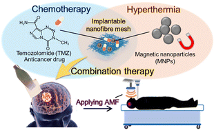 Graphical abstract: Locally implantable nanofibre meshes by sustained release of temozolomide for combined thermo-chemotherapy to treat glioblastoma