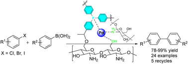 Graphical abstract: A PPh3 modified-chitosan supported Pd nanocatalyst for heterogeneous Suzuki–Miyaura cross coupling reactions