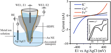 Graphical abstract: A multifunctional nanopipette for metal ion recognition and ultra-trace analysis