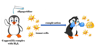 Graphical abstract: Cytotoxic mixed-ligand copper(ii) complexes with 1H-tetrazole-5-acetic acid and oligopyridine derivatives