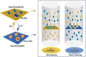 Graphical abstract: A multifunctional silver@titanium dioxide composite cloth for oil and water separation
