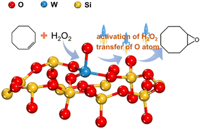 Graphical abstract: Revealing the high activity of WO3–SBA-15 with isolated tungsten oxide species in cis-cyclooctene epoxidation