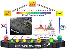 Graphical abstract: Temperature dependent fabrication of various rod and rhombohedral-shaped mesoporous Co3O4 crystals and their capability towards elimination of toxic Cr(vi) ions from the aquatic environment