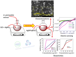 Graphical abstract: Green synthesis of silver@graphene oxide nanocomposite for antibacterial, cytotoxicity assessment, and hydrogen peroxide electro-sensing