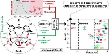 Graphical abstract: Using a dual-emission Sm(iii)-macrocycle as the perceptive lab-on-a-molecule chemosensor toward selective and discriminative detection of nitroaromatic explosives