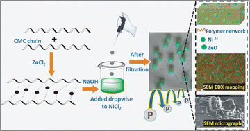 Graphical abstract: Optimization of phosphorus-loaded Ni–ZnO crosslinked carboxy methyl cellulose-based biodegradable nanocomposite hydrogel beads for the slow release of P, Ni and Zn: a kinetic approach