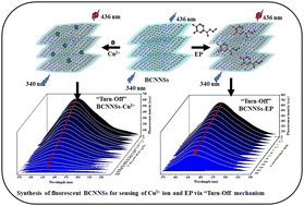 Graphical abstract: Synthesis of fluorescent boron carbon nitride nanosheets for the detection of Cu2+ ions and epinephrine