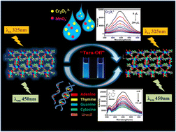 Graphical abstract: Multifunctional cobalt metal–organic framework luminescent probe for the efficient sensing of Cr2O72−, MnO4− and nucleobases
