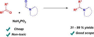 Graphical abstract: Sodium hypophosphite mediated reductive amination of carbonyl compounds with N,N-dialkylformamides