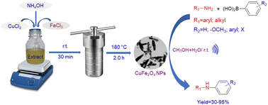Graphical abstract: Green synthesis of shape-tunable CuFe2O4 NPs: a magnetically retrievable and efficient catalyst for Chan–Lam type C–N coupling reactions under base-free conditions