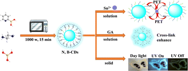 Graphical abstract: One-step synthesis of N, B-doped carbon dots and their multifunctional applications in the detection of tin ions and gallic acid and information encryption