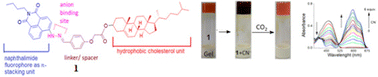 Graphical abstract: A new cholesterol-naphthalimide conjugate: aggregation and sensing of CN− and CO2 under different conditions