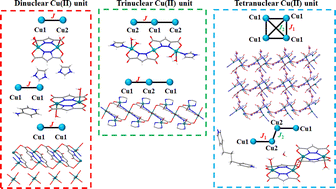 Graphical abstract: Synthesis, X-ray structures, and magnetic properties of seven polynuclear Cu(ii) complexes containing pyrazole-3,5-dicarboxylate with various ancillary ligands
