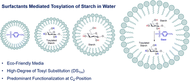 Graphical abstract: Synthesis of tosyl starch in eco-friendly media