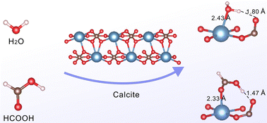 Graphical abstract: Adsorption of water and formic acid molecules on the (104) surface of calcite: a theoretical study by DFT-D3