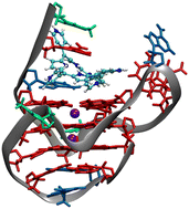 Graphical abstract: Binding symmetric porphyrins to the c-MYC promoter Pu24I G-quadruplex: toward more specific ligand recognition by flanking bases