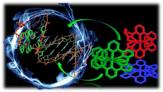 Graphical abstract: Ni(ii)-polypyridyl complexes as potential DNA binders