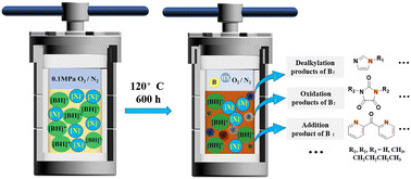 Graphical abstract: Degradation processes of protic ionic liquids for NH3 separation