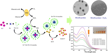 Graphical abstract: Colorimetric hydrogen peroxide and glucose sensors based on the destruction of micelle-protected iron(ii) complex probes