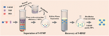 Graphical abstract: A green process for separation and recovery of 5-hydroxymethylfurfural from carboxylic acid–choline chloride deep eutectic solvents