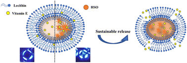 Graphical abstract: Novel delivery system: a liquid crystal emulsion containing HSO crystals