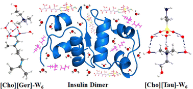 Graphical abstract: Effect of mixtures of ionic liquids and water on the structure and stability of the insulin dimer: a combined DFT and MD simulation study