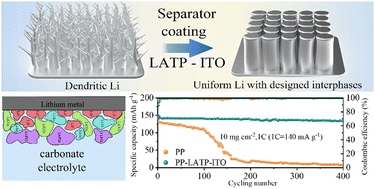 Graphical abstract: Engineering the Li-ion flux and interfacial chemistry toward a stable Li metal anode via a simple separator coating strategy