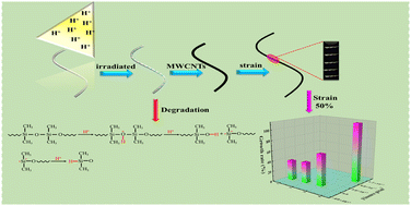 Graphical abstract: High sensitivity microcrack hydroxylated MWCNT/Ecoflex composite flexible strain sensors based on proton irradiation engineering