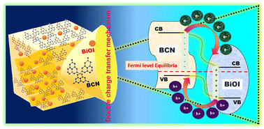 Graphical abstract: Double charge transfer mechanistic insights into the tailoring of BiOI nanoplates and boron-doped graphitic carbon nitride: a 2D/2D anchored p–n heterojunction nanocatalyst for improved photodegradation
