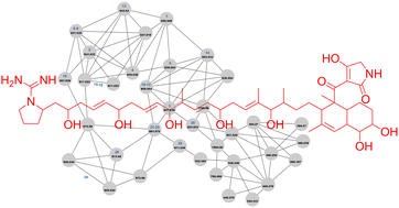 Graphical abstract: Dissecting the biosynthesis of the polyketide alkaloid lydicamycin using a complex metabolic network