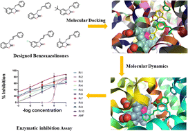 Graphical abstract: Identification of potential benzoxazolinones as CYP1B1 inhibitors via molecular docking, dynamics, waterswap, and in vitro analysis