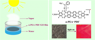 Graphical abstract: Enhancing the photothermal performance of graphene oxide by embedding perylene diimide radical anions/α-phenylethylamine hydrogen bonded complexes in graphene oxide films for solar water evaporation