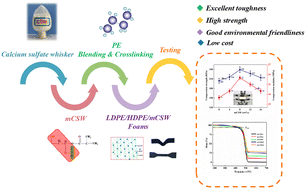 Graphical abstract: Reinforcement of the thermal stability and mechanical properties of low-density polyethylene/high-density polyethylene foam using a modified calcium sulfate whisker