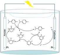 Graphical abstract: Synthesis of p-cymene by the electrocatalytic oxidation of α-terpinene and γ-terpinene