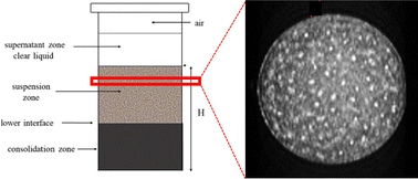 Graphical abstract: Formation and evolution of channels and voids in gravity sedimentation of kaolin suspensions studied by MRI