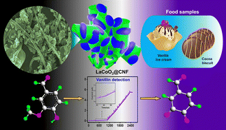 Graphical abstract: Rhombohedral type of LaCoO3 with carbon nanofiber composite as an electrocatalyst enables the amperometry detection of vanillin in food samples