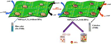 Graphical abstract: Selective and sensitive on-site colorimetric detection of 4,4′-isopropylidenediphenol using non-enzymatic molecularly imprinted graphitic carbon nitride hybrids in milk and water samples