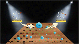 Graphical abstract: Fe@g-C3N4: an effective photocatalyst for Baeyer–Villiger oxidation under visible light condition