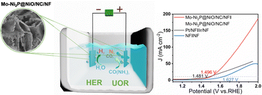 Graphical abstract: In situ-grown Mo-doped MOF-derived phosphide supported nanosheets as an efficient bifunctional electrocatalyst towards urea–water electrolysis