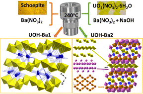 Graphical abstract: Investigation of uranium oxide hydrates with barium(ii) ions: structural diversity, uranium valences and implications