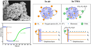 Graphical abstract: A MOF-derived porous In2O3 flower-like hierarchical architecture sensor: near room-temperature preparation and fast trimethylamine sensing performance