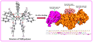 Graphical abstract: A phenoxy-bridged trinuclear Ni(ii) complex: synthesis, structural elucidation and molecular docking with viral proteins